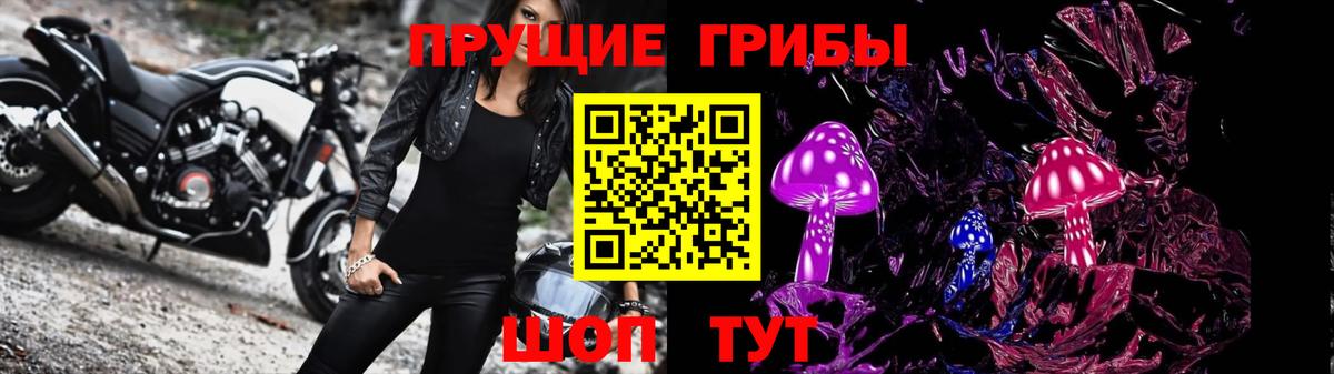 Галлюциногенные грибы Cubensis  Вход с VPN  Мичуринск 